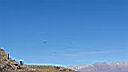 Condor